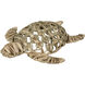 Ridley Natural Object, Small Turtle