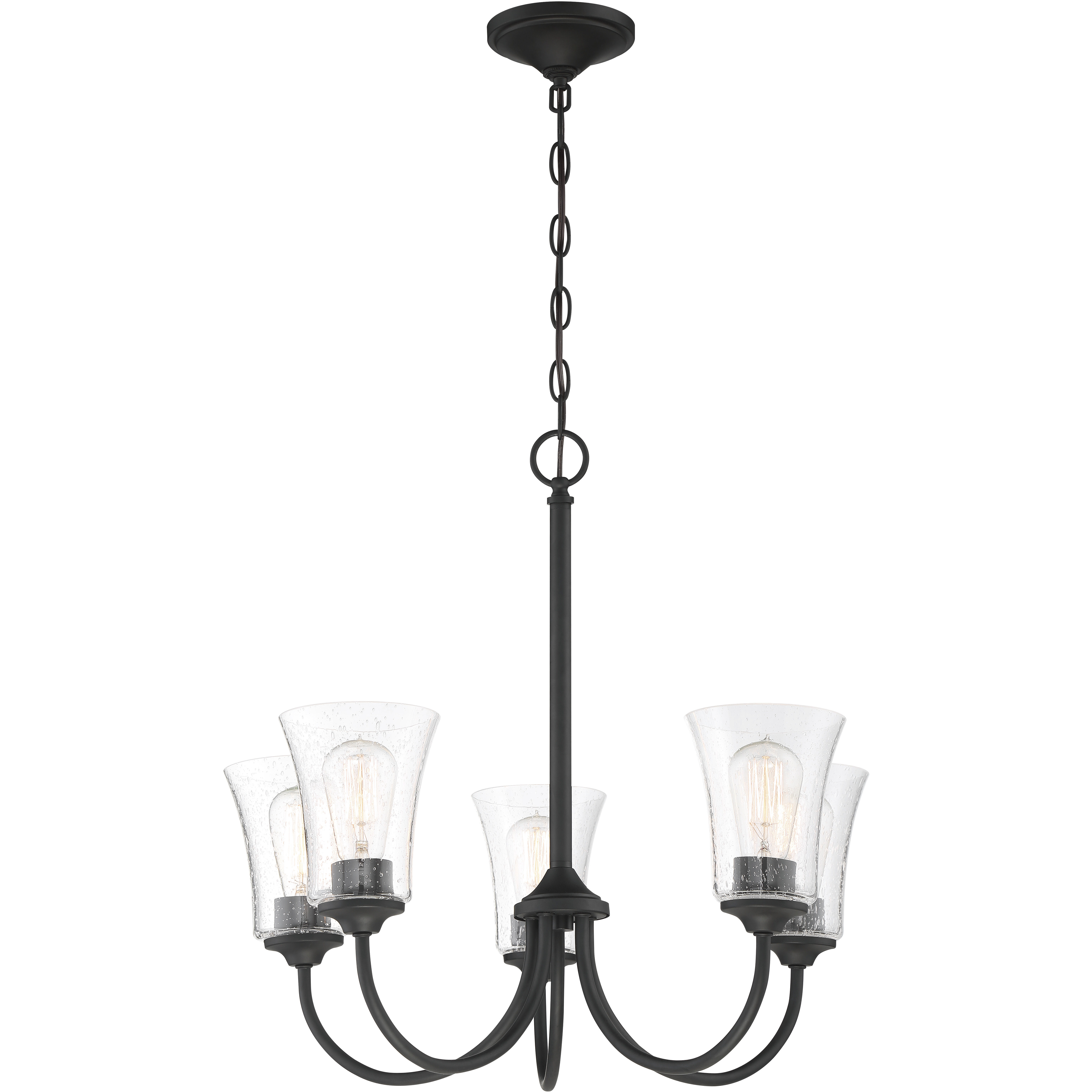 Neighborhood Gwyneth 5 Light 23 inch Flat Black Chandelier Ceiling Light in Clear Seeded, Neighborhood Collection