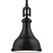 Rutherford 1 Light 9 inch Oil Rubbed Bronze Mini Pendant Ceiling Light