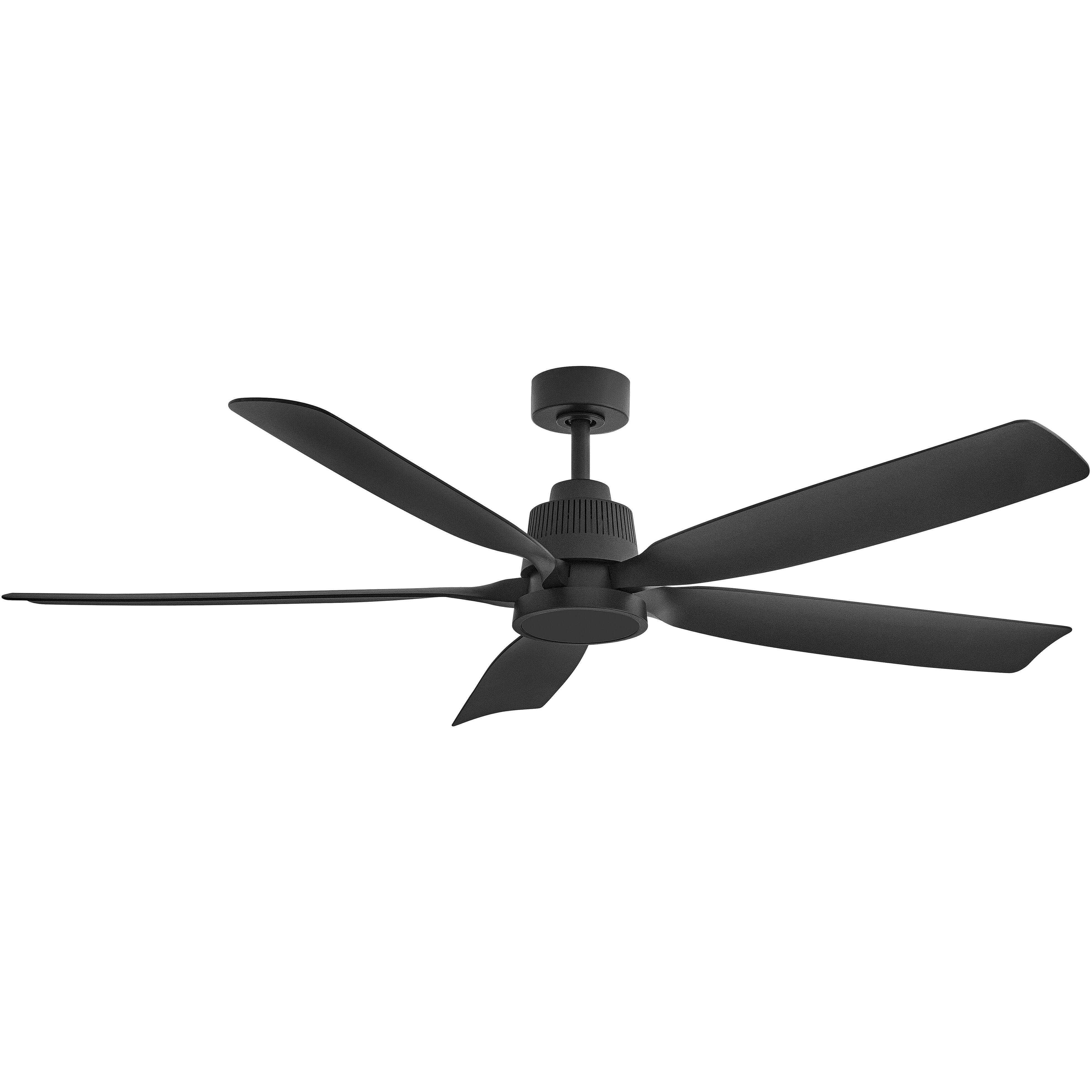 ファンティ 40308945.jpg