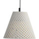 Clarus 1 Light 10.00 inch Pendant