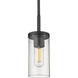 Winslett Pendant Ceiling Light in Pewter, Damp