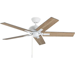 Erikson Indoor Ceiling Fan