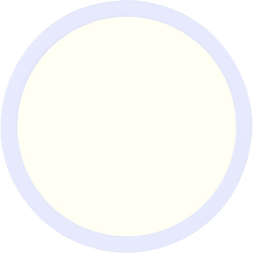 Canarm LED 11 inch White Disc Light