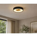 Hazel 1 Light 14 inch Black Flush Mount Ceiling Light