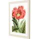 Florals Collection Red Framed Art