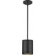 Nordic LED 5 inch Black Exterior Pendant