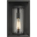 Dunbroch 1 Light 13 inch Black Outdoor Wall Light