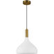 Belleview 1 Light 11.88 inch Aged Brass Pendant Ceiling Light in Opal Glass