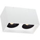 Sean Lavin Exo Dual 2 Light 5.20 inch Flush Mount