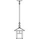 Evergreen 1 Light 9 inch Antique Brass Pendant Ceiling Light in Rain Mist, T-Bar Overlay