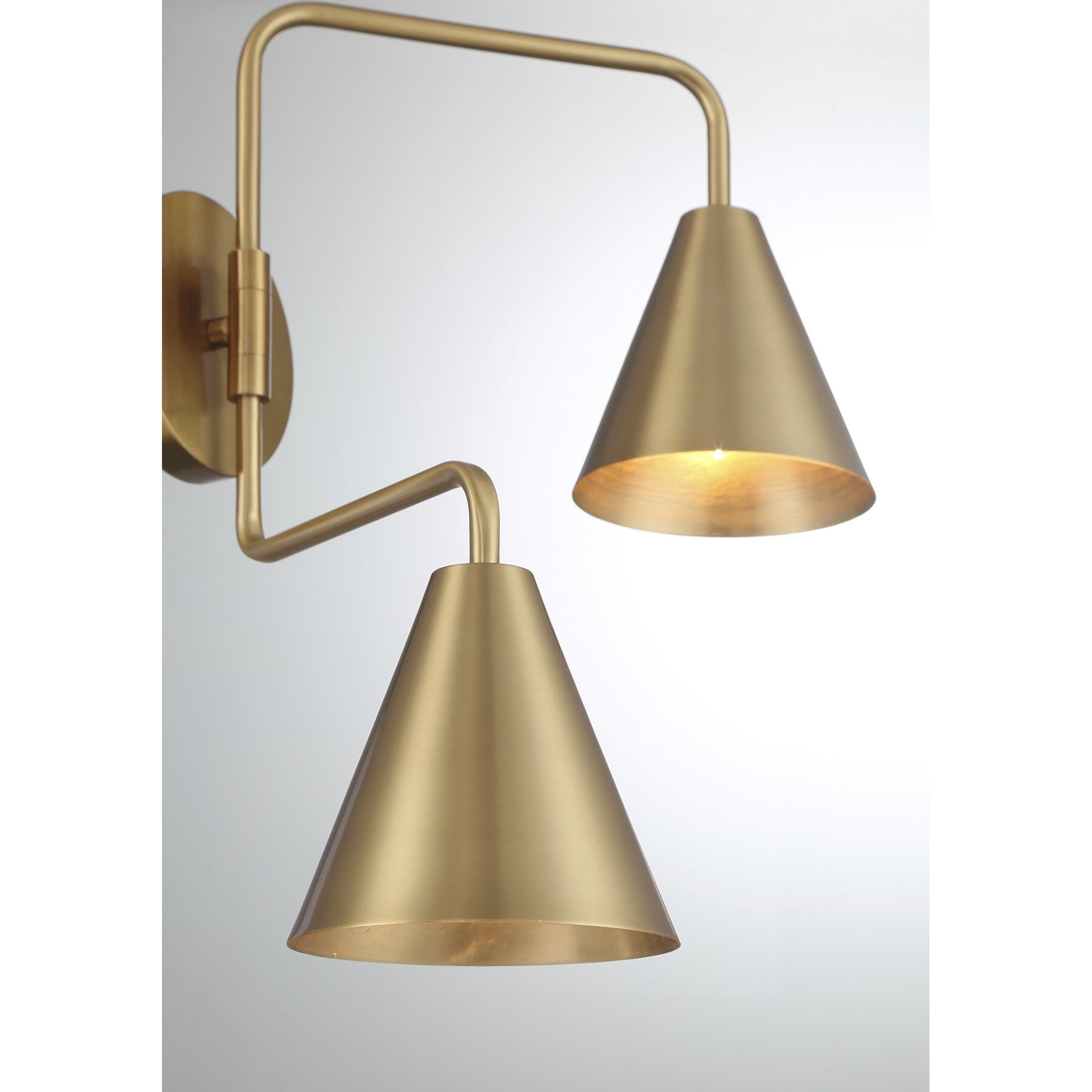 Modern 60.00 watt Natural Brass Adjustable Wall Sconce Wall Light