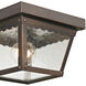 Springfield 1 Light 8 inch Hazelnut Bronze Outdoor Flush Mount