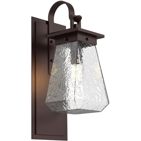Outdoor Chilled Glass 1 Light Statuary Bronze Outdoor Sconce in E26 Incandescent, Beacon with Shepherds Hook