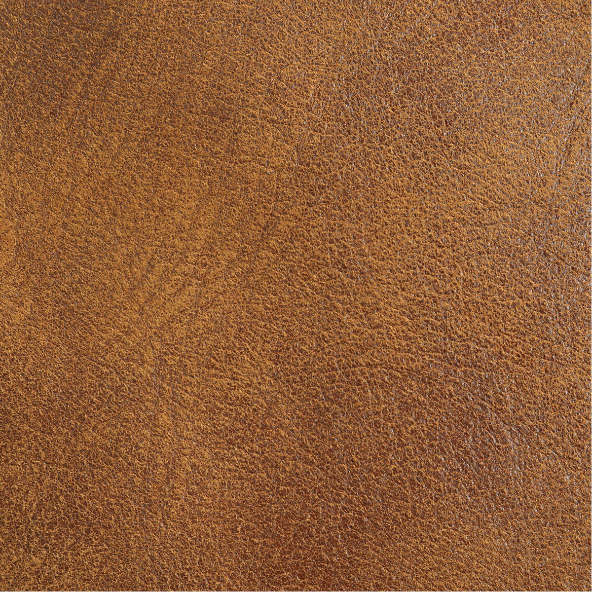 Delroy Distressed Hand-Sanded Cognac Nubuck Leather Armless Chairs, Set of 2