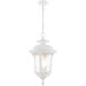 Oxford 3 Light 11 inch Textured White Outdoor Pendant Lantern