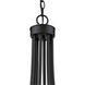 Sawyer 8 Light 30 inch Matte Black Chandelier Ceiling Light