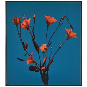 Teng Fei's Sunset Blooms 41.5 X 37.5 inch Oils and Original Art