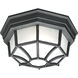 Cirque 1 Light 10.5 inch Black Outdoor Flush Mount