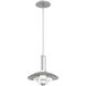 Cirrus LED 12 inch Classic Silver Pendant Ceiling Light in Smoke Granite, Medium