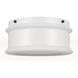 Ellen DeGeneres Lente 2 Light 13 inch Milk Glass Flush Mount Ceiling Light