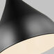 Oden 1 Light 14 inch Midnight Black Pendant Ceiling Light