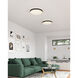 Essex 19.75 inch Black and White Flush Mount Ceiling Light