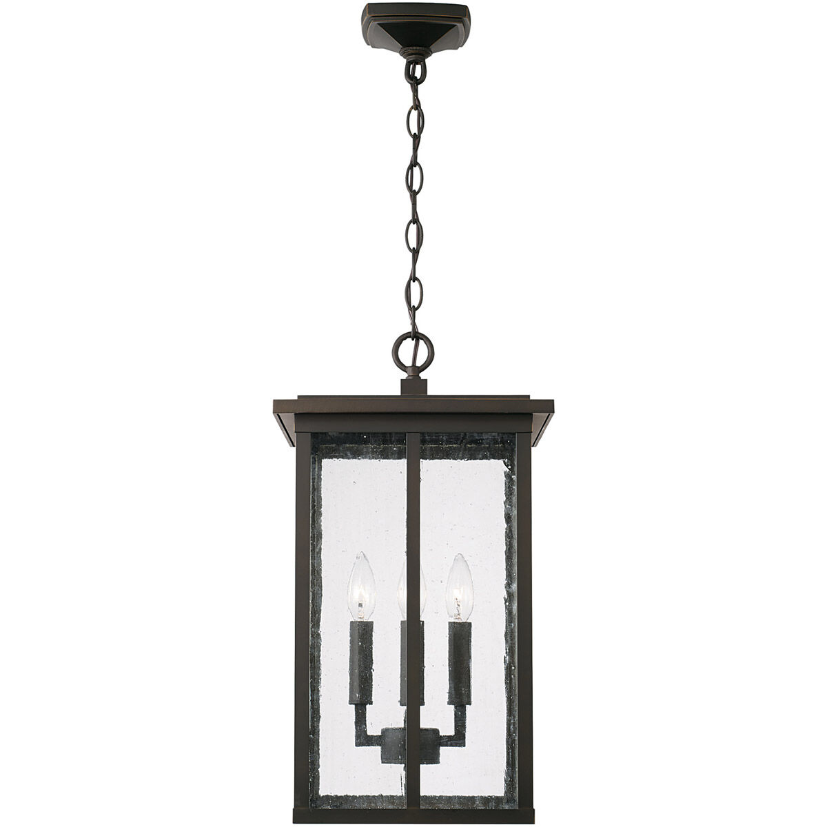 Barrett 4 Light 12 inch Oiled Bronze Outdoor Hanging Lantern