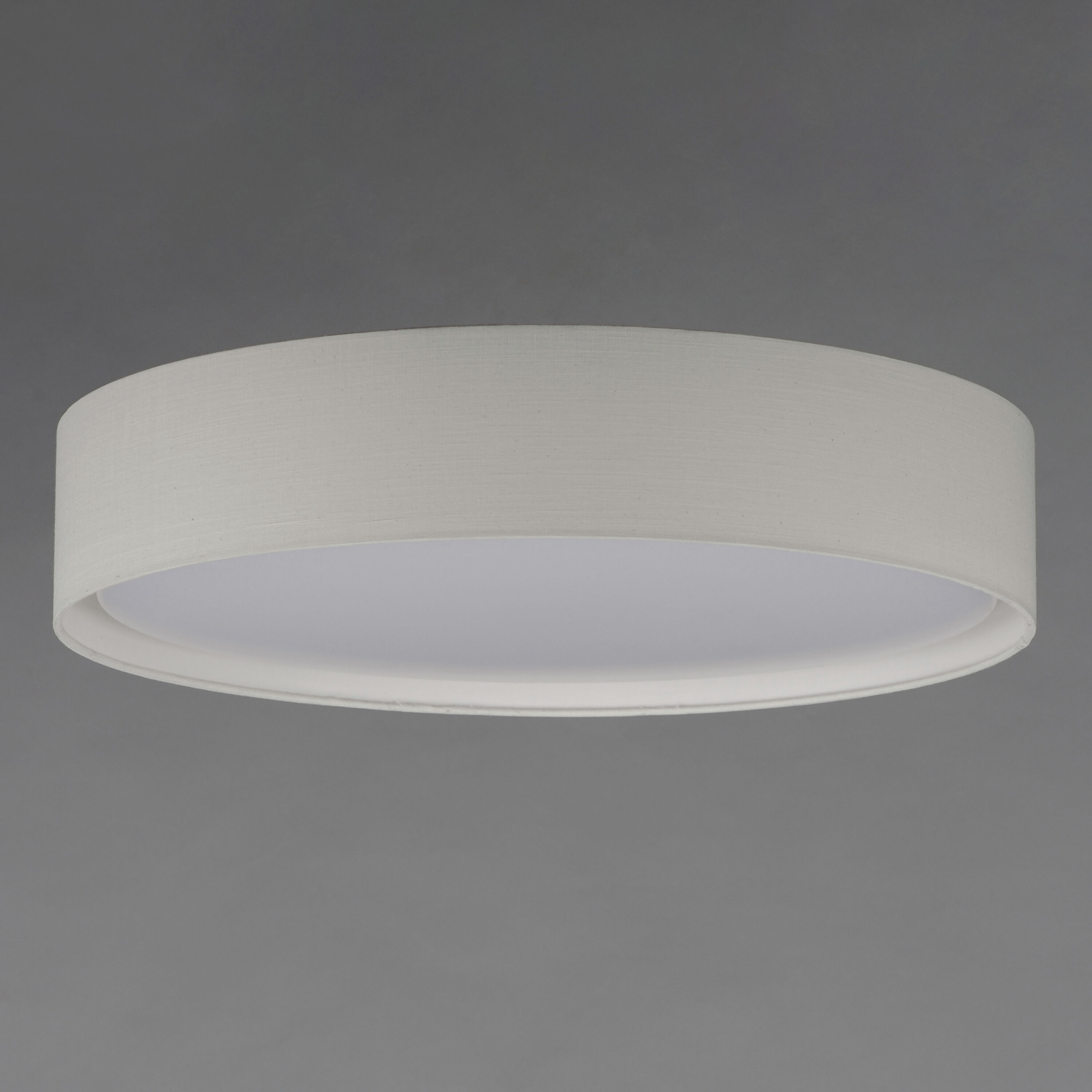Prime LED 25 inch Flush Mount Ceiling Light