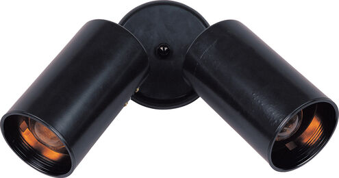 Spots 2 Light 17 inch Black Flush Mount Ceiling Light