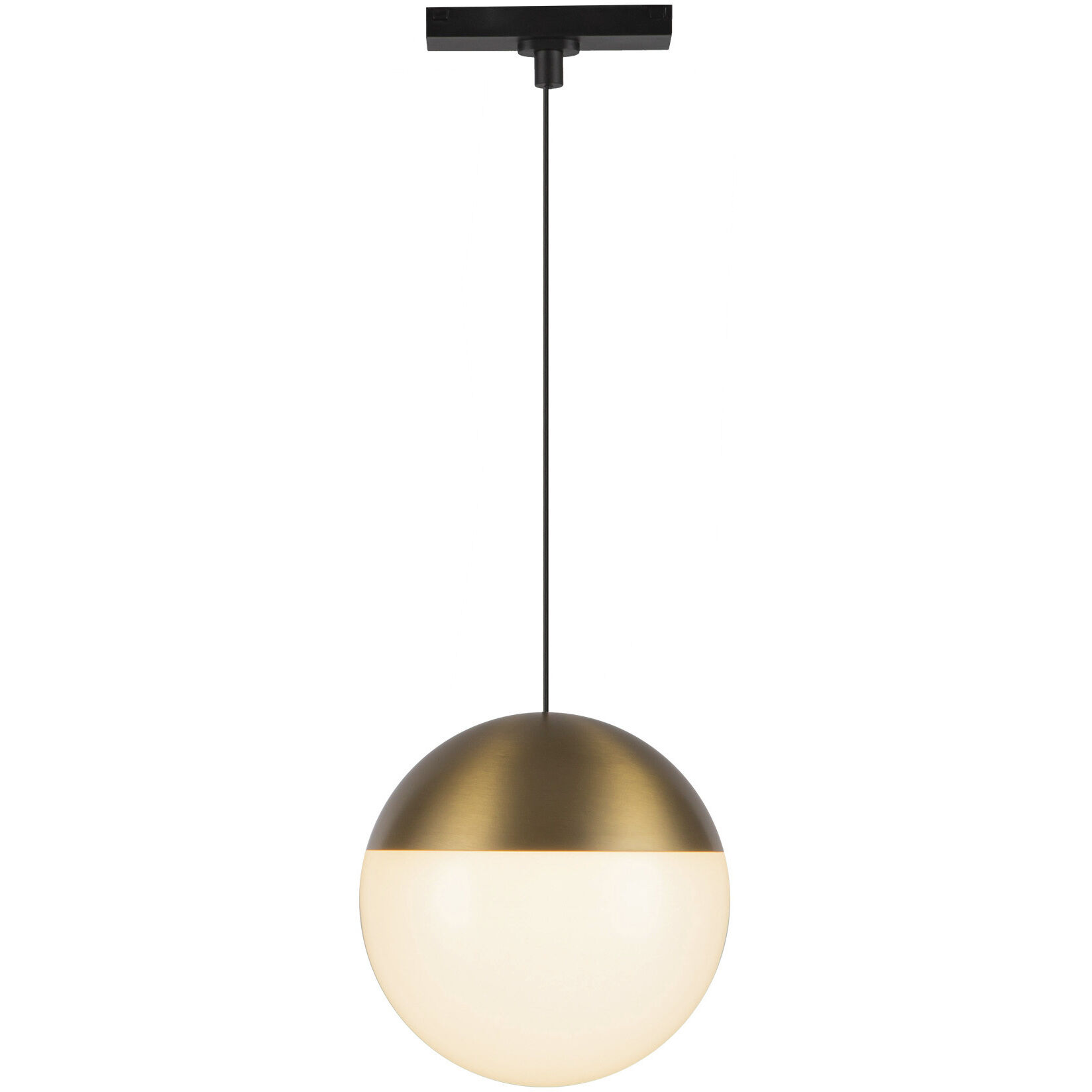 Monae 48V DC Brushed Gold Trilo Track Pendant Ceiling Light