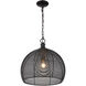 Calypso 1 Light 16 inch Matte Black Pendant Ceiling Light, Medium