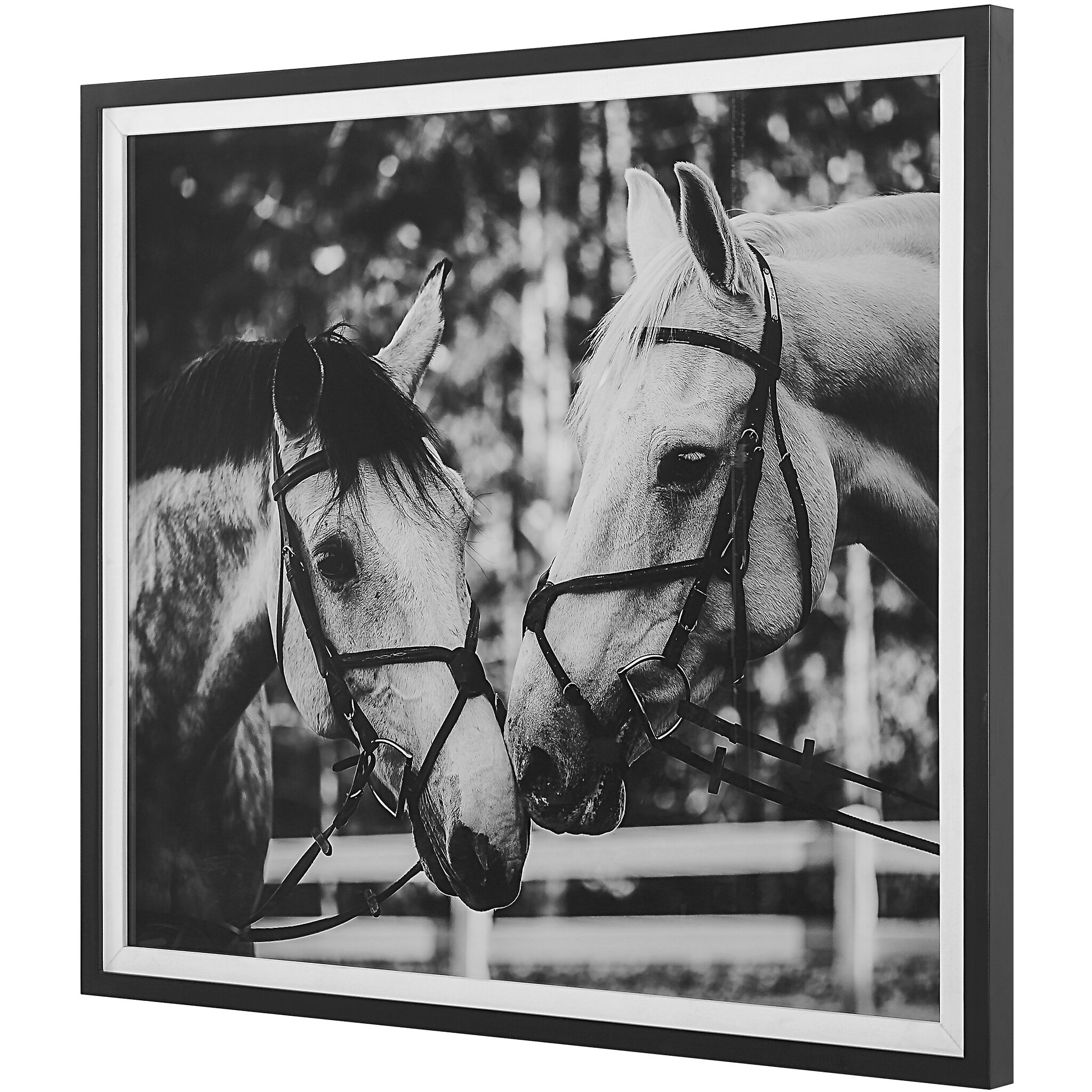 Apple Of My Eye 40 X 36 inch Framed Print