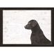 Animals Collection Neutral Framed Art