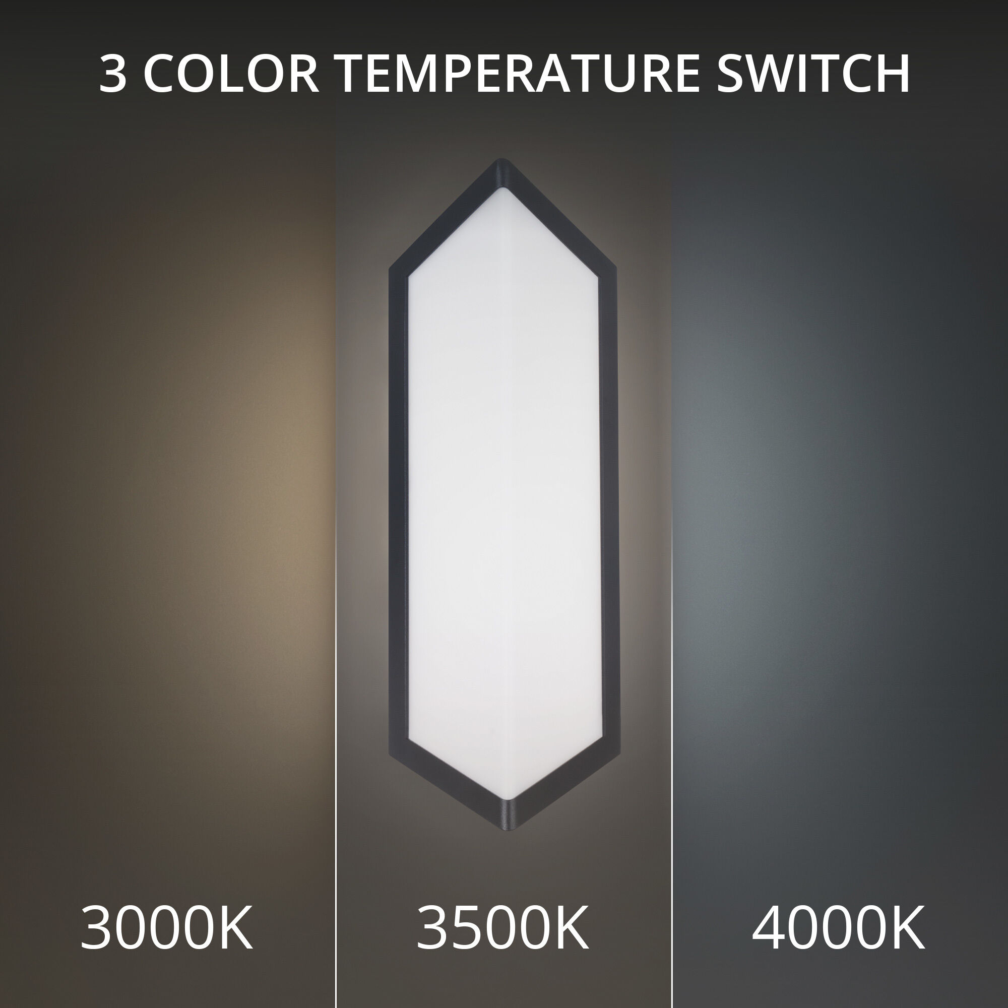 Corte LED 15.38 inch Black Outdoor Wall Light in 3000K, dweLED