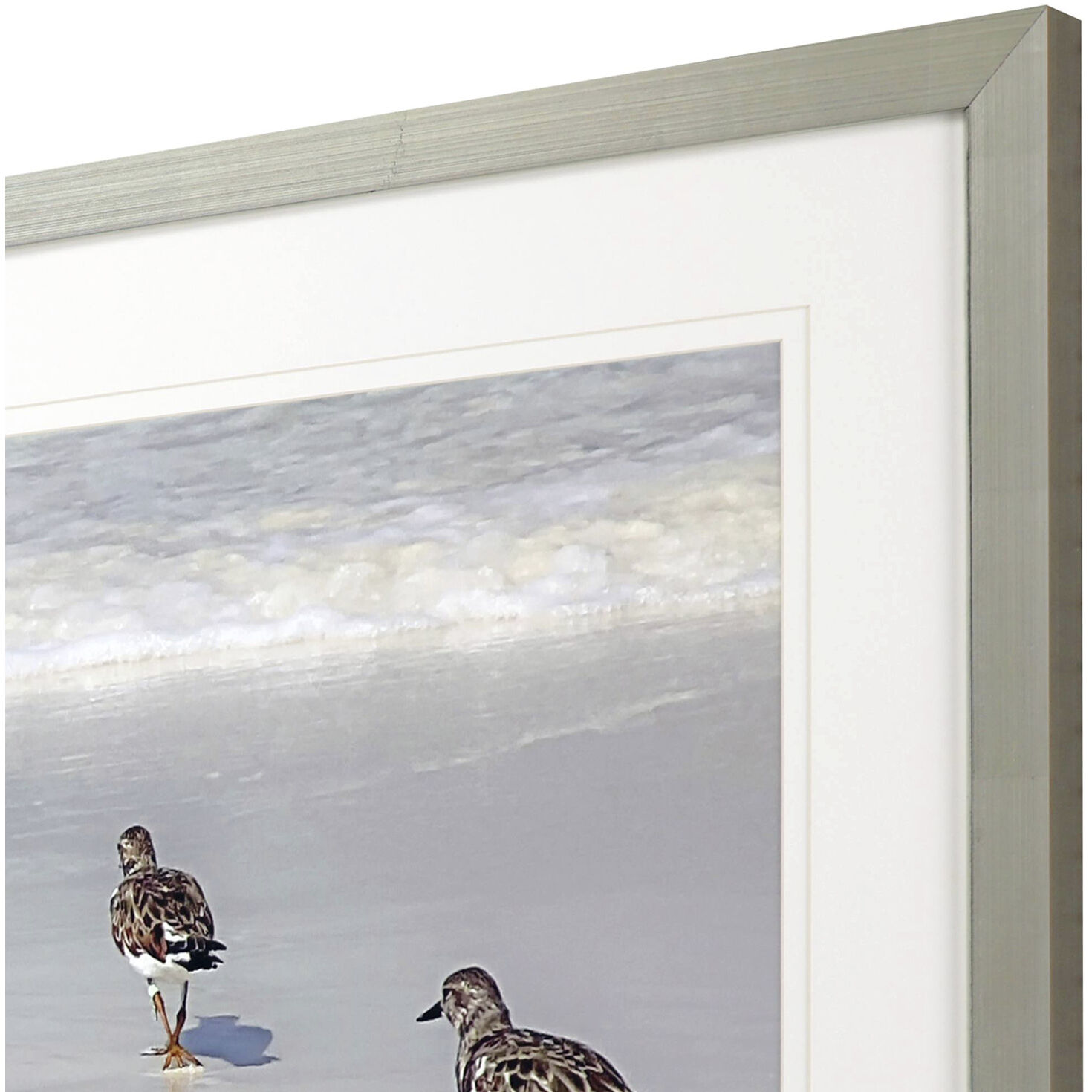 Animals White and Blue and Brown Framed Art