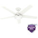 Skyflow 52 inch Matte White Outdoor Ceiling Fan