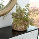 Spectre 12 X 10 inch Vase, Large