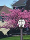 Westover 2 Light 17 inch Bronze Outdoor Post Top Lantern