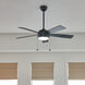 Starkk 52 inch Satin Black with Silver Blades Ceiling Fan