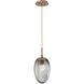 Meteo LED LED 10 inch Novel Brass Pendant Ceiling Light in 2700K LED, Zircon Inner - Smoke Outer