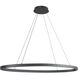 Ovale Linear Pendant Ceiling Light in Black
