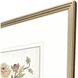 Botanica 22083 Multi and Blue and Green and Yellow Framed Art, The Studio
