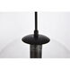 Placido 1 Light 12 inch Black and Clear Pendant Ceiling Light