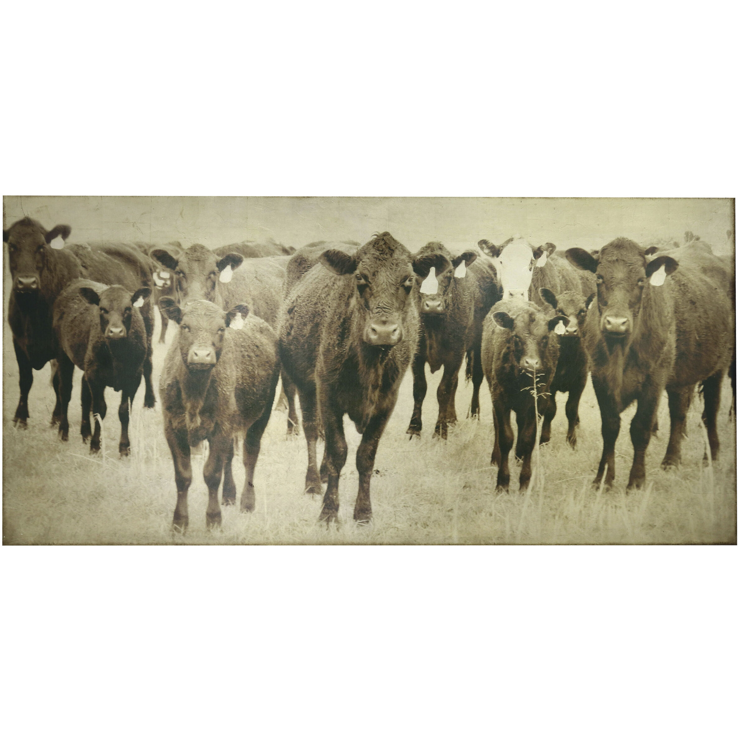 Bovine Sepia Wall Art