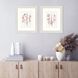 Propac Pink and Green and White and Multi Framed Art, Propac