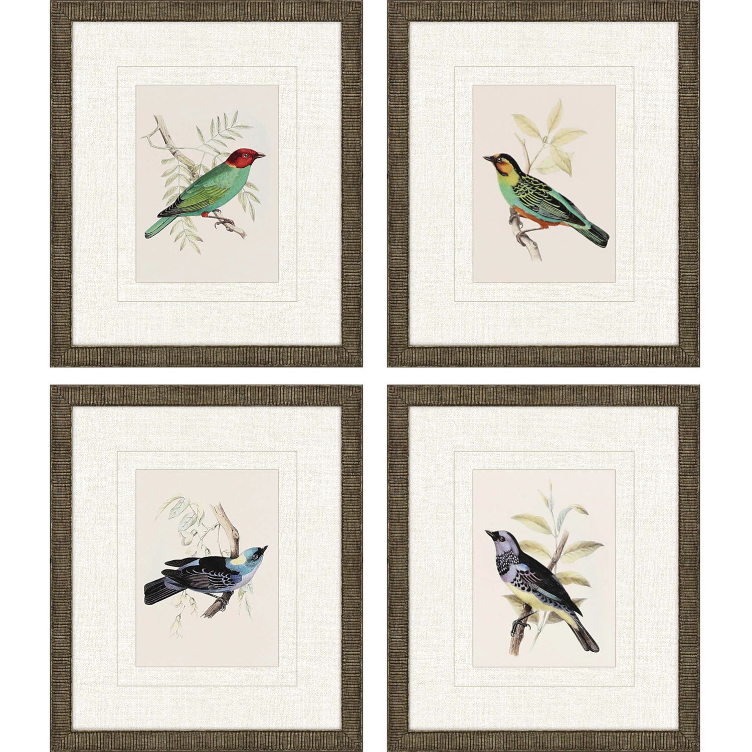 On Perch Multi and Green and Red and Beige Framed Art