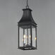 Bramwell VX 3 Light 9 inch Black Patina Outdoor Pendant