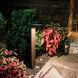 Ledge 12 3 watt Bronze Path and Area Light in 2700K Warm LED, WAC Landscape