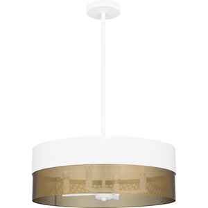 Alani 4 Light 20.00 inch Pendant